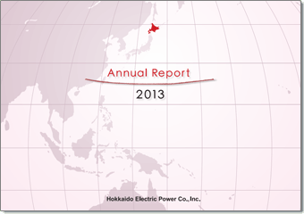 2013年度版