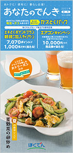 2021年夏号(Vol.408)
