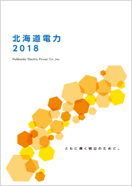 北海道電力2018