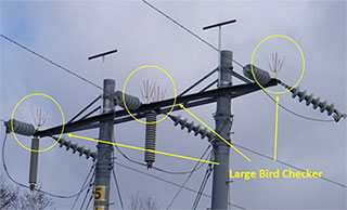 Bird checkers mounted on pylons