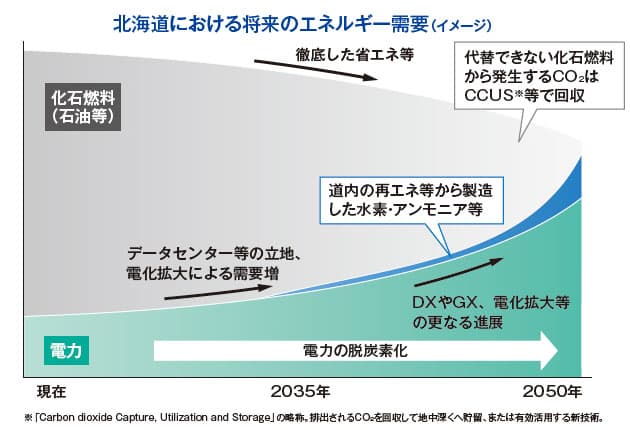 北海道における将来のエネルギー需要