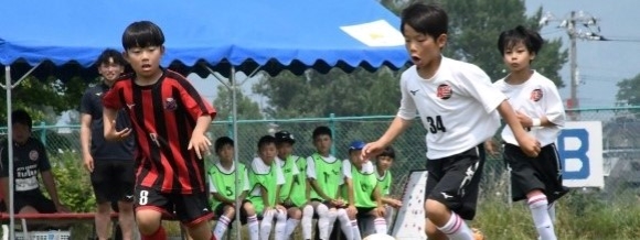 スポーツ振興の取り組み