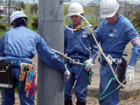 胴綱の扱い方を練習し昇柱（配電）