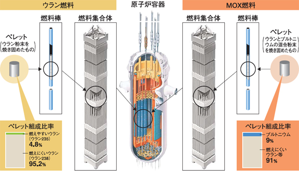 ウラン燃料とMOX燃料の比較