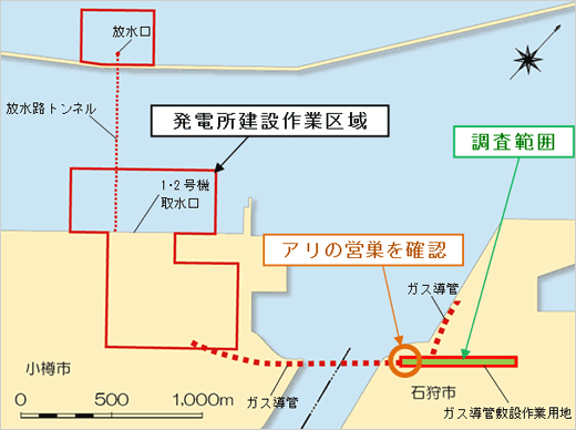 アリの営巣状況調査範囲