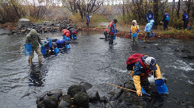 Biological survey underway