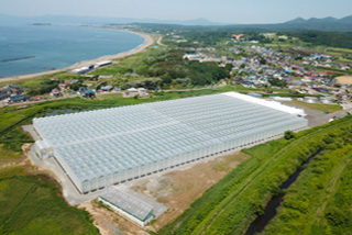 画上ノ国町の寅福本社農場