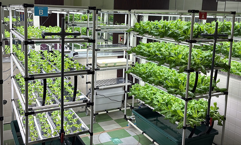 本店内の植物工場