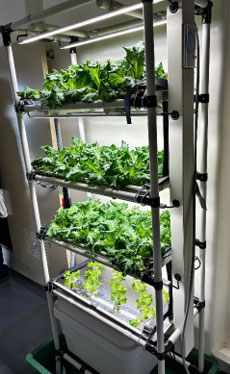 船内に設置した栽培ラック