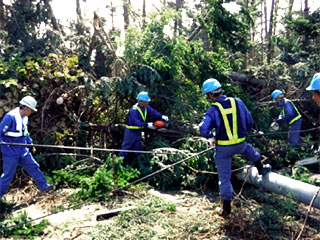 倒木による被害設備の復旧作業